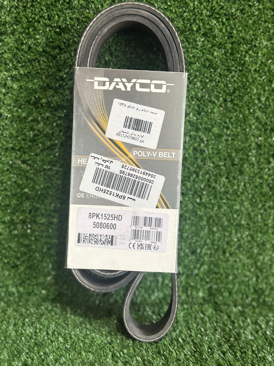 تسمه دینام رنو 1525 DAYCO دایکو ایتالیا