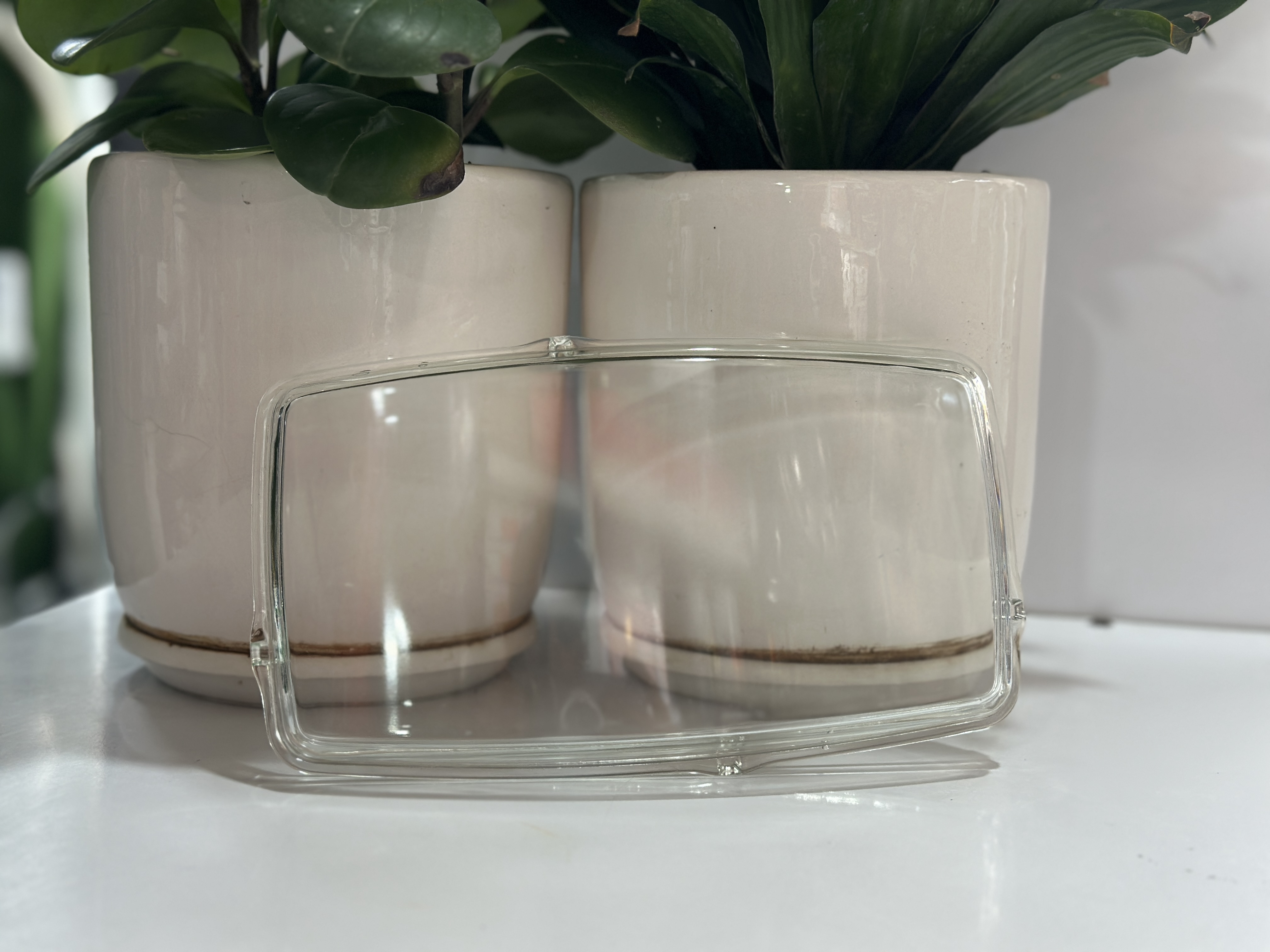 شیشه مه شکن رنوT تایوان