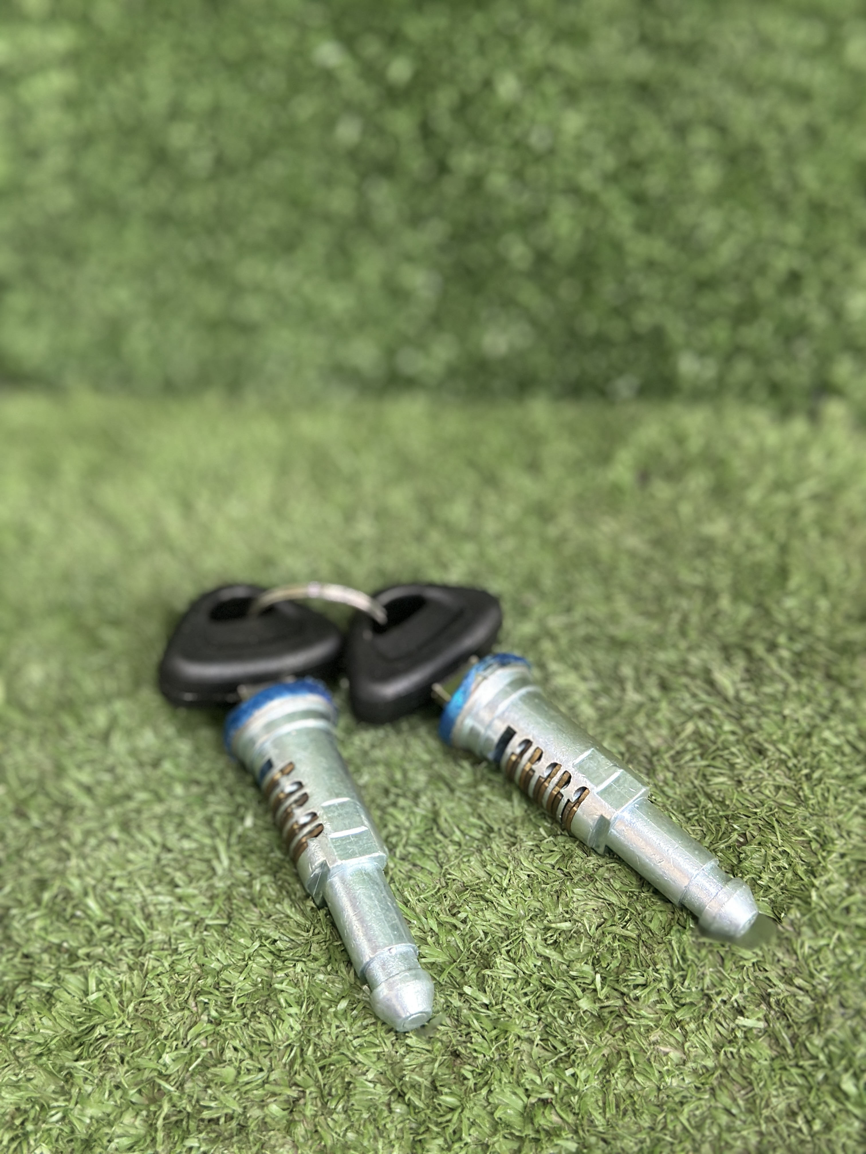 مغزی ففل درب اسکانیا(تکی)