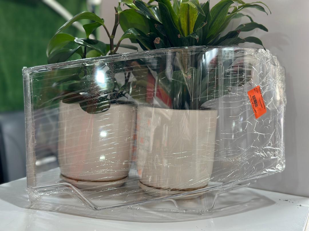 طلق چراغ رنوT تایوان